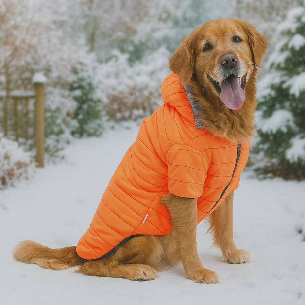 Bunda pro psa Oraga (oranžová) (8XL)