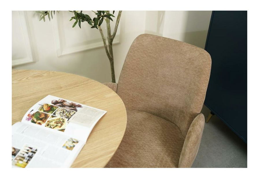 Jídelní židle Miracle (aulla 17)