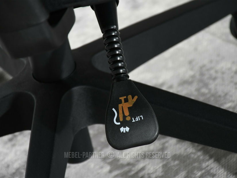 Kancelářské křeslo Artenegro (černá)