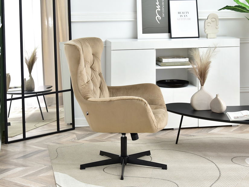 Křeslo Aaron (béžová + černá)