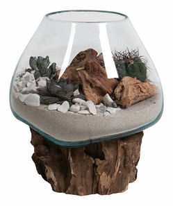 Dekorace Sorelia 2 (přírodní)