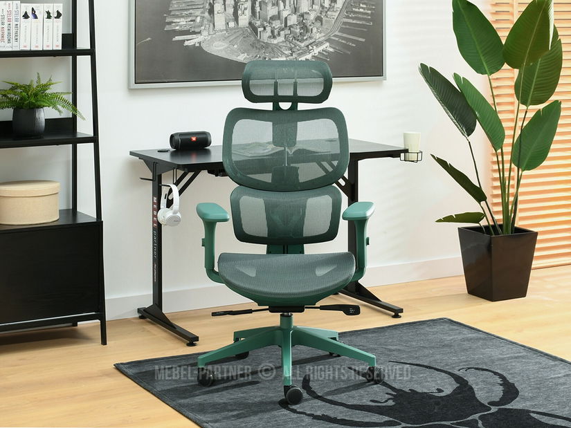 Židle Horst (zelená + zelená)