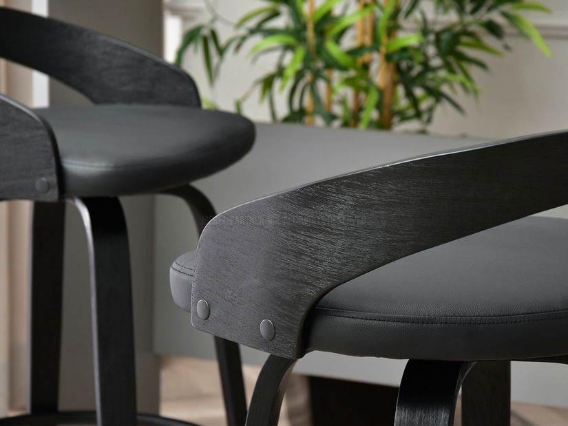 Židle Haime (černá)