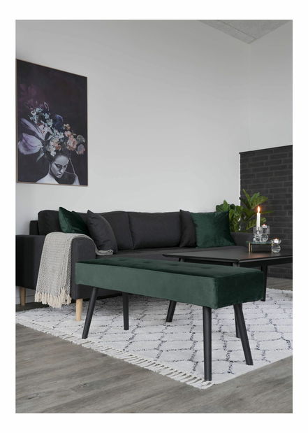 Lavice Sinveriaia 2 (zelená)