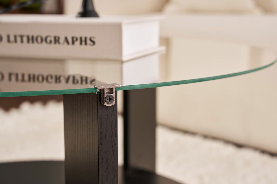 Konferenční stolek Claro (černé dřevo + sklo)