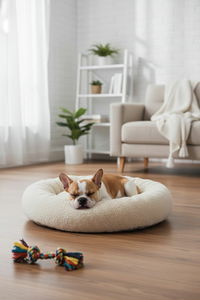 Pelíšek pro domácí zvíře Pugga XL (šedá)