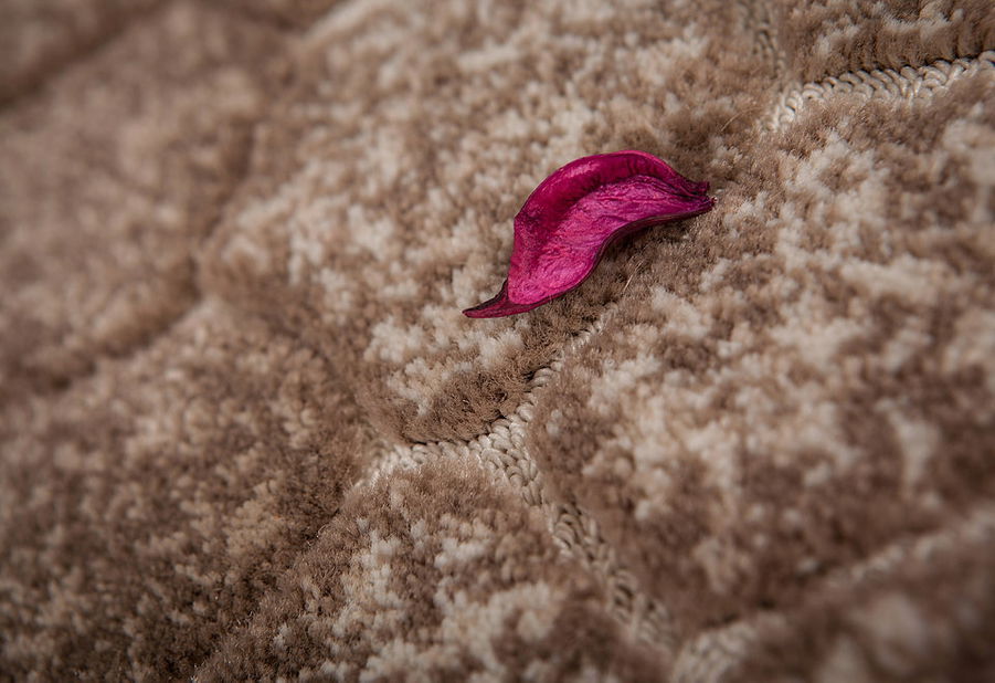 Kusový koberec Palas 573 Beige