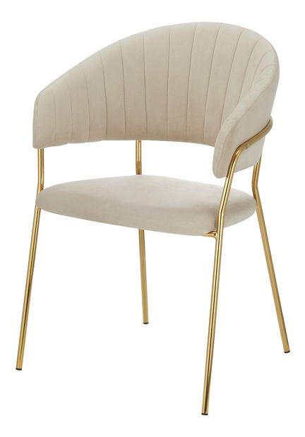 Designové jídelní křeslo Dasi