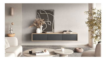 TV stolek Fiora 38 (dub olejovaný + antracit)