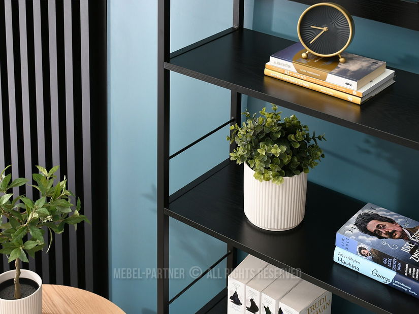 Regál Noel (černé dřevo + černá)