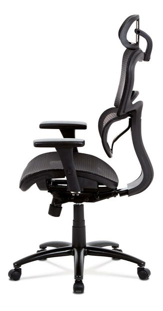 Kancelářské křeslo Analizan (černá)