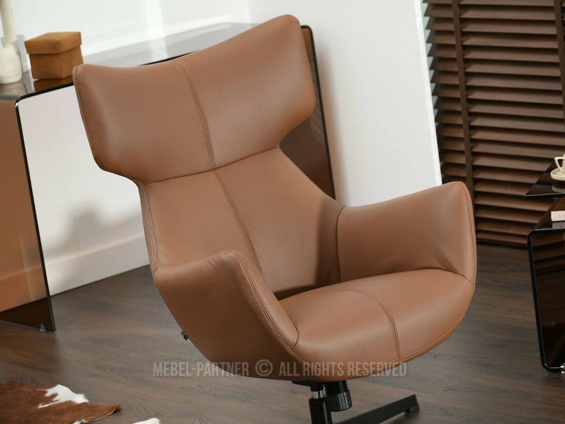 Relaxační křeslo Lordon (hnědá + černá)