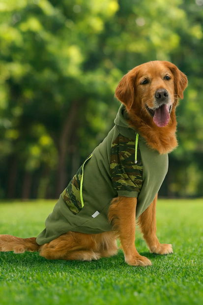Mikina pro psa Asker (zelená) (3XL)