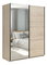 Šatní skříň s posuvnými dveřmi BRW Tetrix 33 (dub sonoma) (se zrcadlem)