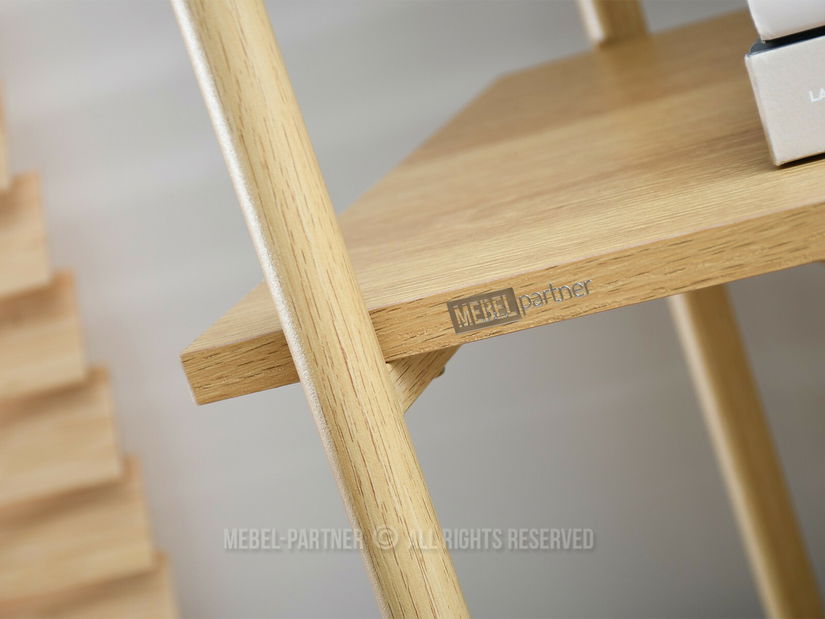 Regál Analogie (dub)