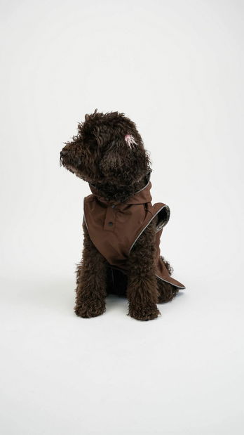 Bunda pro psa Danny (hnědá) (L)