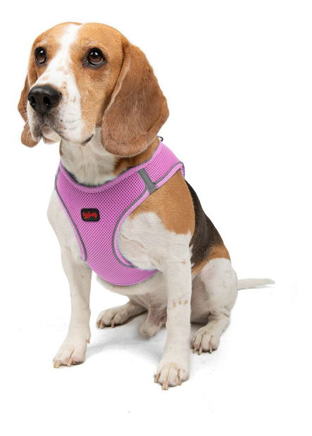 Postroj pro psa Airy (žlutá) (XS)