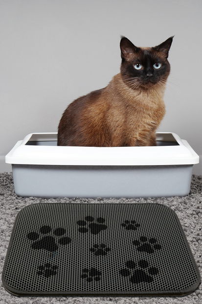 Podložka pod kočičí záchod Catty (vícebarevné)