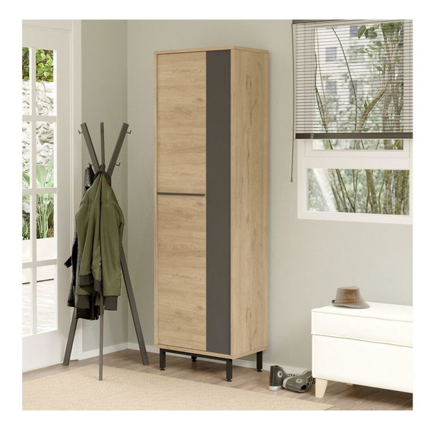  Skříňka na boty Abbygail 2 (dub + antracit)