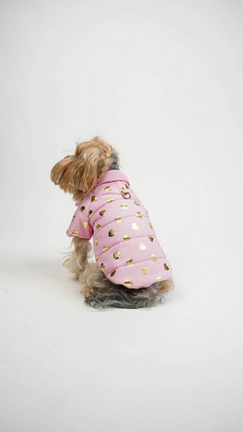 Bunda pro psa Amora (oranžová) (XL)