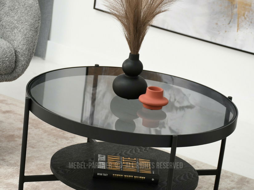 Konferenční stolek Freya (kouřové sklo černé + černá)