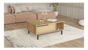 Konferenční stolek Otto 2 (ořech + dub)