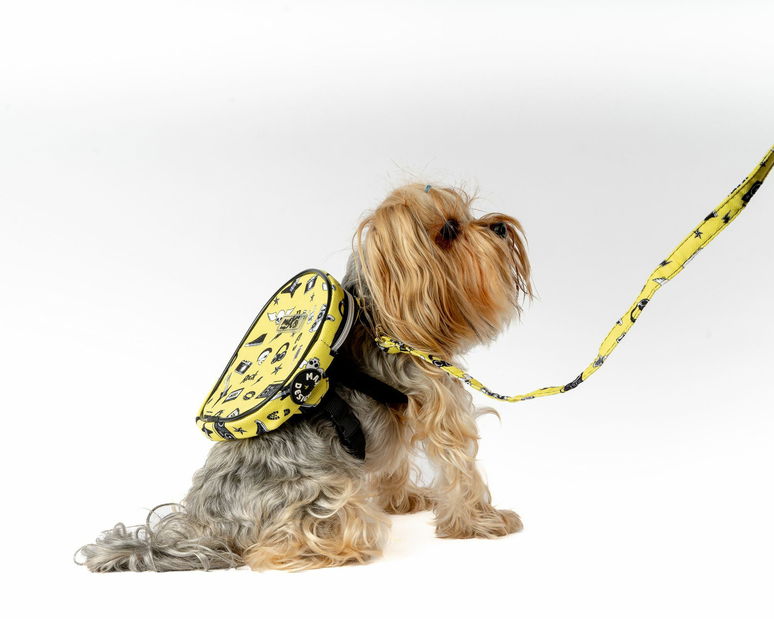 Postroj pro psa Lenny (ořech)