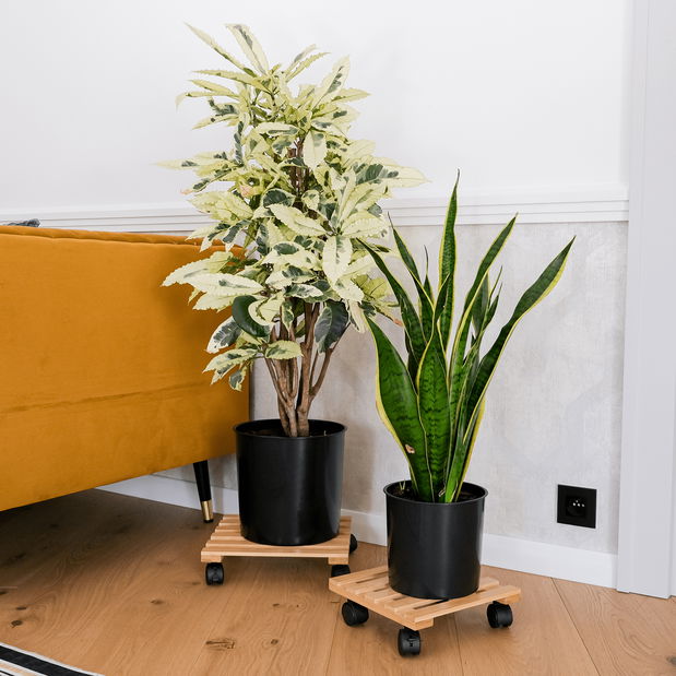 Podstavec pod květináč s kolečkami Kola 