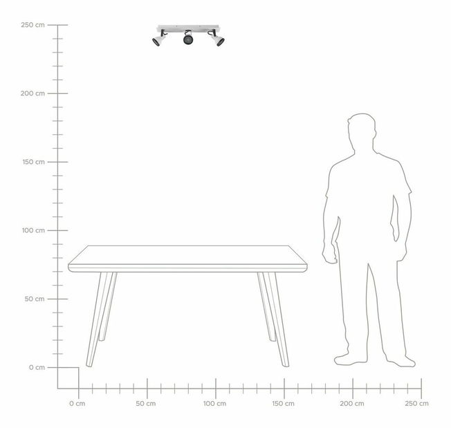 Stropní svítidlo Braulio (černá + bílá)