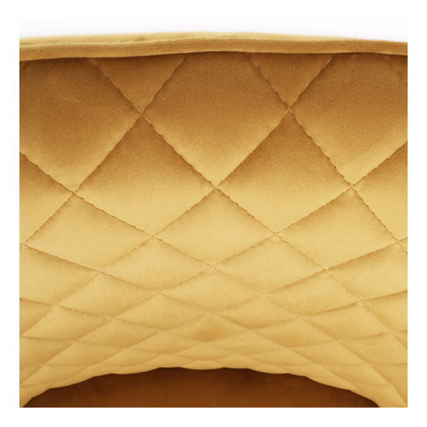 Jídelní židle Danarra-425-YEL4 (žlutá + černá)