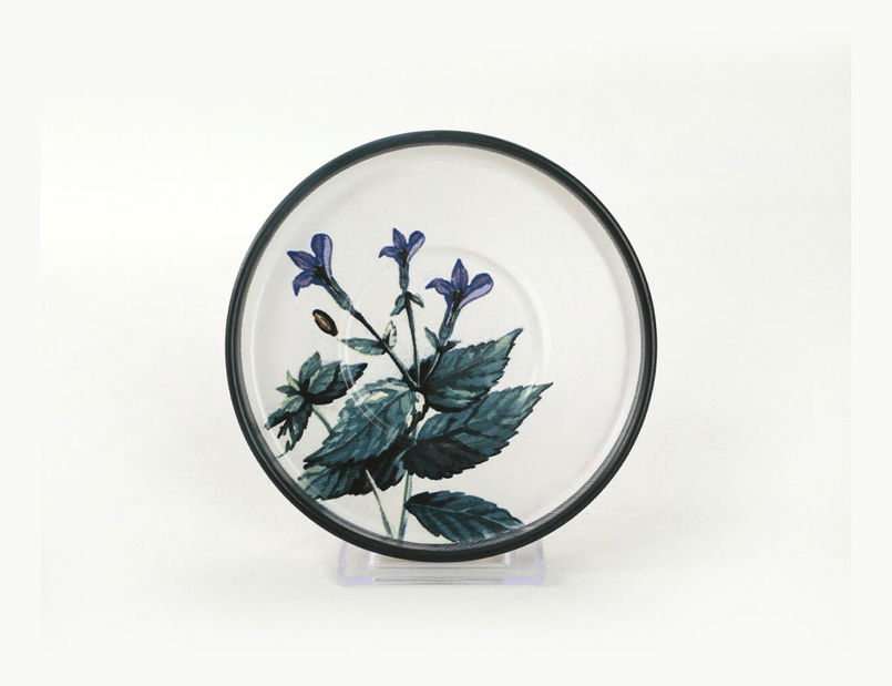 Kávová souprava (12 ks.) Spark (bílá + zelená + fialová + černá)