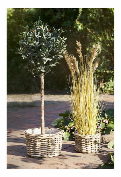 Set 2 ks proutěných květináčů Kordelia (přírodní)