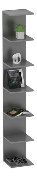 Police Dorona (grafit)