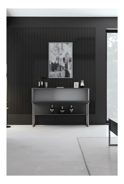 Konzolový stolek Luna 4 (stříbrná + antracit)