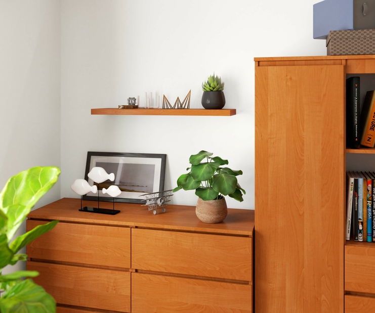 Polička Pilar (olše)