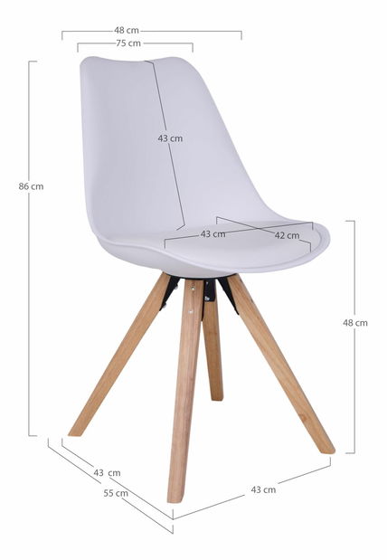 Jídelní židle Bladoria (bílá)