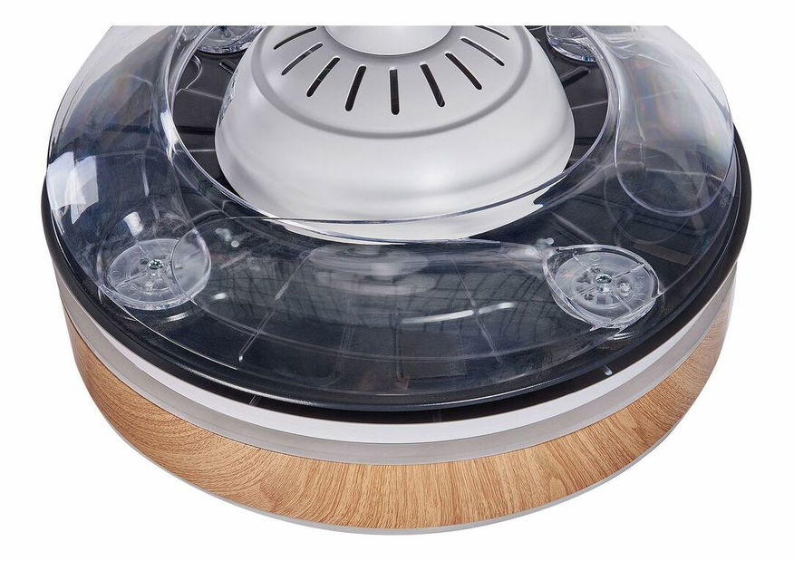 Stropní ventilátor se světlem Flor (bílá)