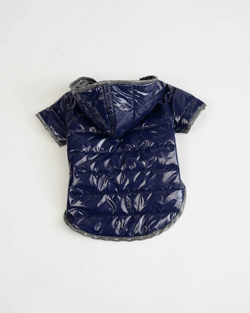 Bunda pro psa Monty (modrá) (XL)