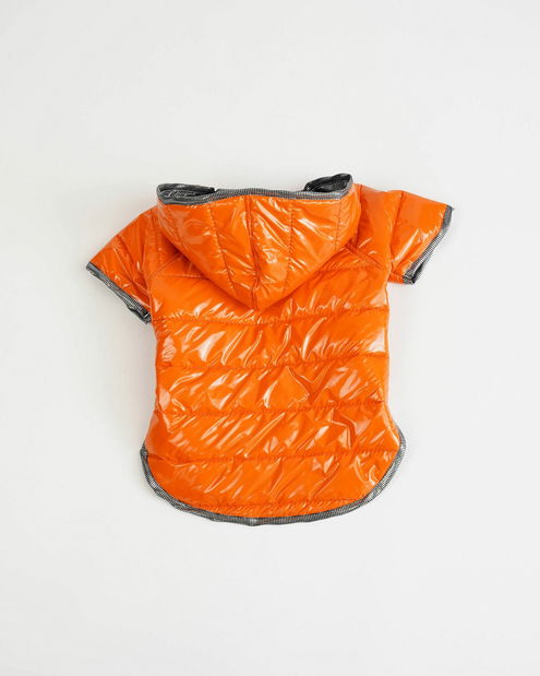 Bunda pro psa Amora (oranžová) (XXL)