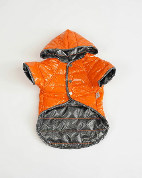 Bunda pro psa Monty (modrá) (XL) 1