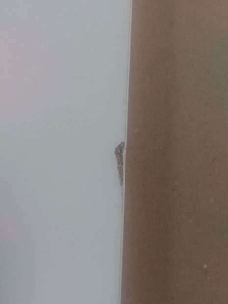 TV stolek/skříňka Robert (Bílá) *bazar