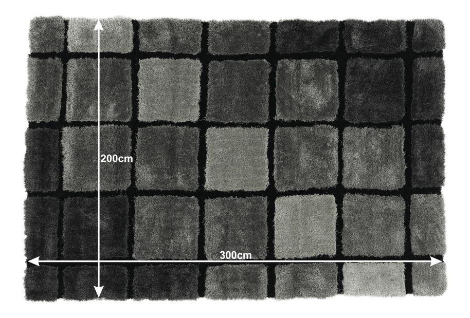Koberec (200 x 300 cm) Leonard typ 2