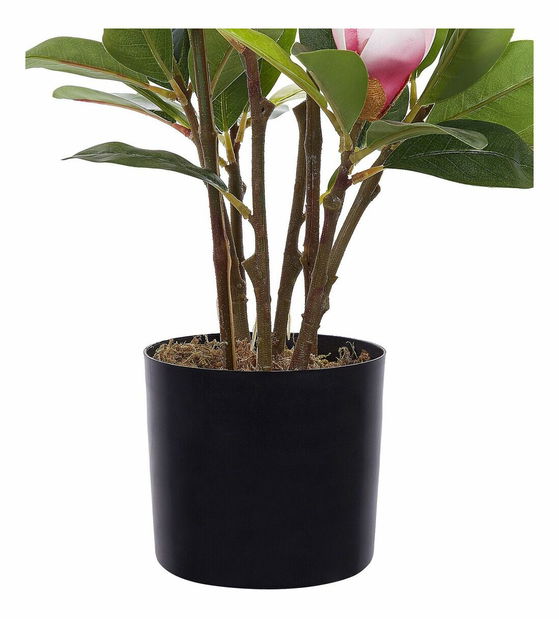 Umelá rastlina 70 cm Magri (zelená)