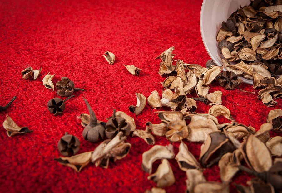 Kusový koberec Sensation 100 Red