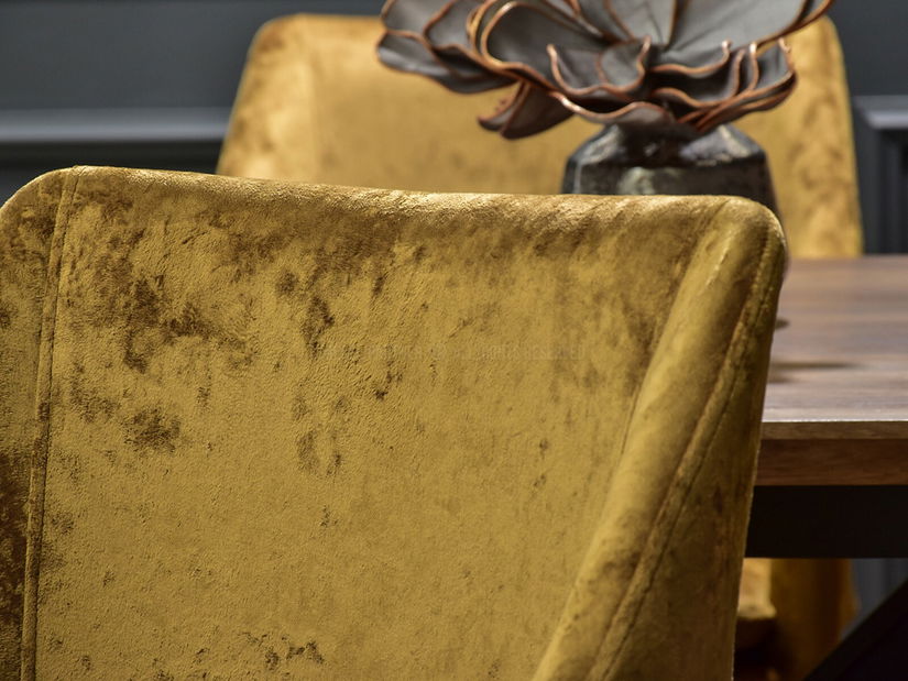 Jídelní židle Duplica (zlatá)