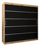 Šatní skříň 200 cm Verika 1 200 (dub artisan + černá)