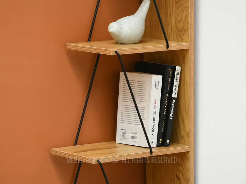 Regál Hunde A (černá)