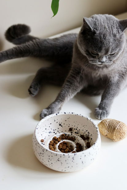 Miska pro domácí zvíře Bestie 3 (vícebarevné)