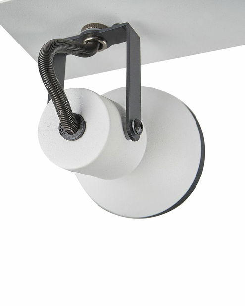 Stropní svítidlo Braulio (černá + bílá)