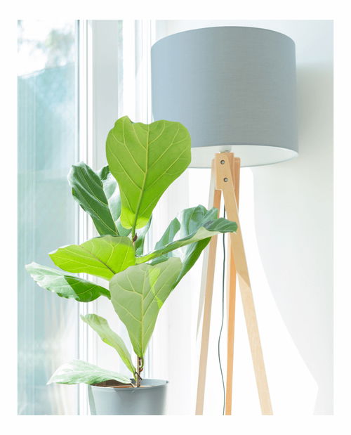 Stojací lampa Lilly (šedá)